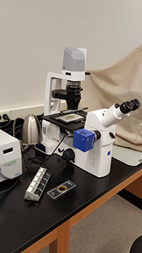 Zeiss AxioImager 2  Fluorescent Microscope