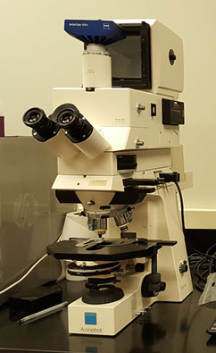 Zeiss AxioPhot Fluorescent Microscope