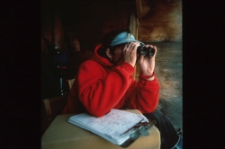 Dr. Hoogland observing prairie dog behavior.