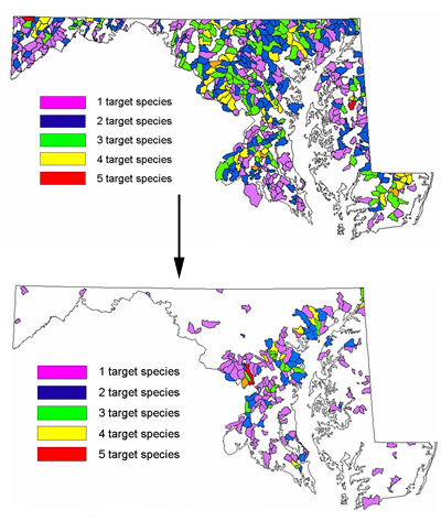 Watersheds containing one or more fish species of conservation concern in Maryland. Watersheds predicted to become unsuitable for one or more fishes of conservation concern.