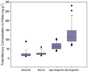 Total mercury concentrations in brook trout fillet samples from each sampling location. 