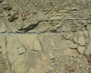 Exposed serpentine rock showing classic veined patterning.