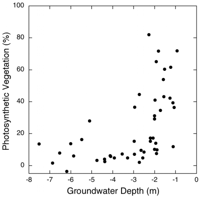 Vegetation-groundwater relationship for 47 sites measured in 1992.