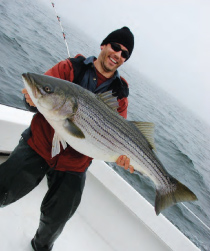 Adam Peer, PhD student
