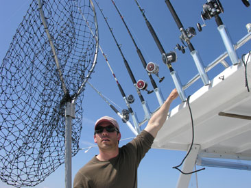 sampling striped bass