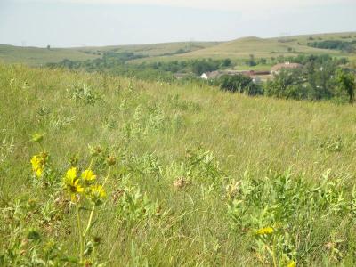 prairie