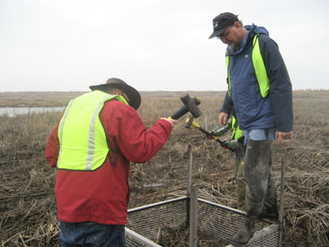 court stevenson and jeff cornwall on poplar island