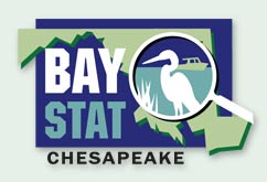 Baystat logo