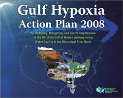 action plan two cover