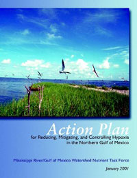 action plan cover