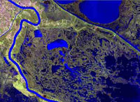 before katrina