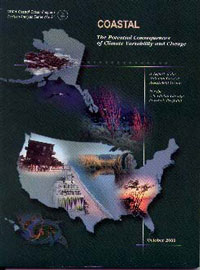 action plan cover