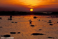 wax lake