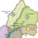 Nanticoke River Report Card