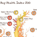 Bay Map