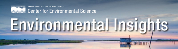 Environmental Insights Header