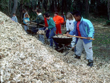 voulnteers moving oyster shell