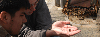 md seagrant