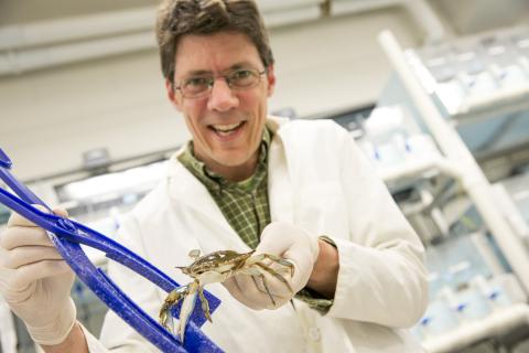 Eric Schott with crab in lab