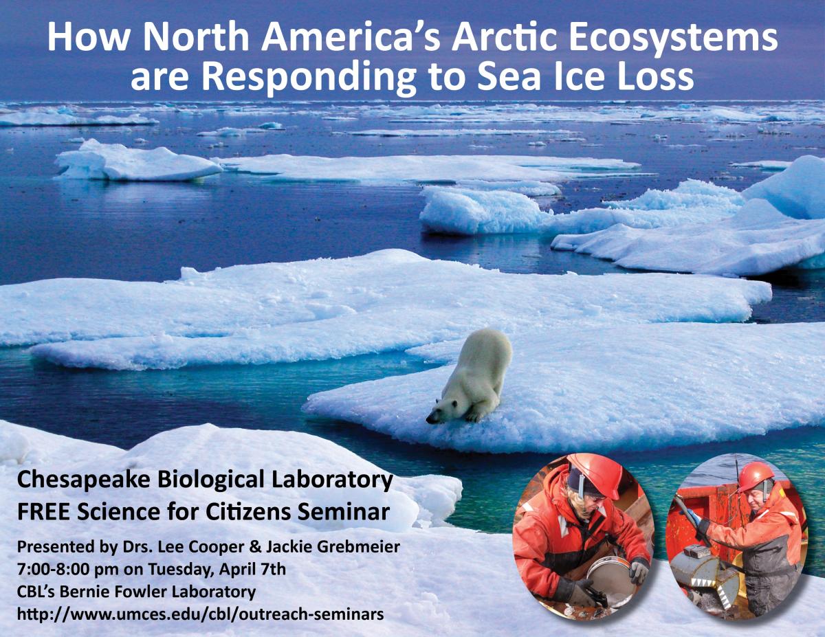 Poster promoting Arctic seminar 2015