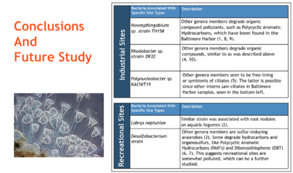 Slide that says "Conclusions and Further Study" with image of microbes