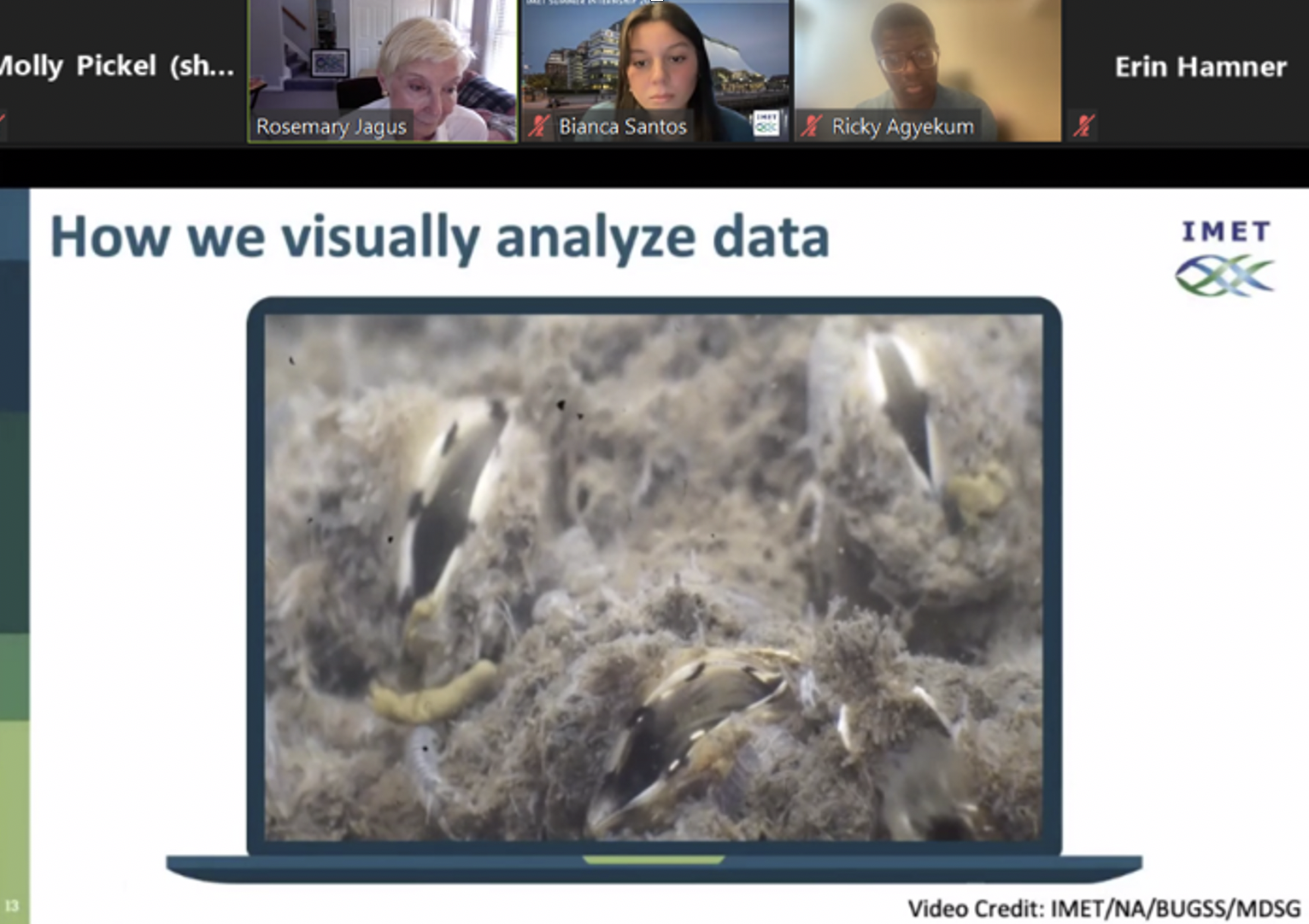 Zoom presentation with text: How we visually analyze data