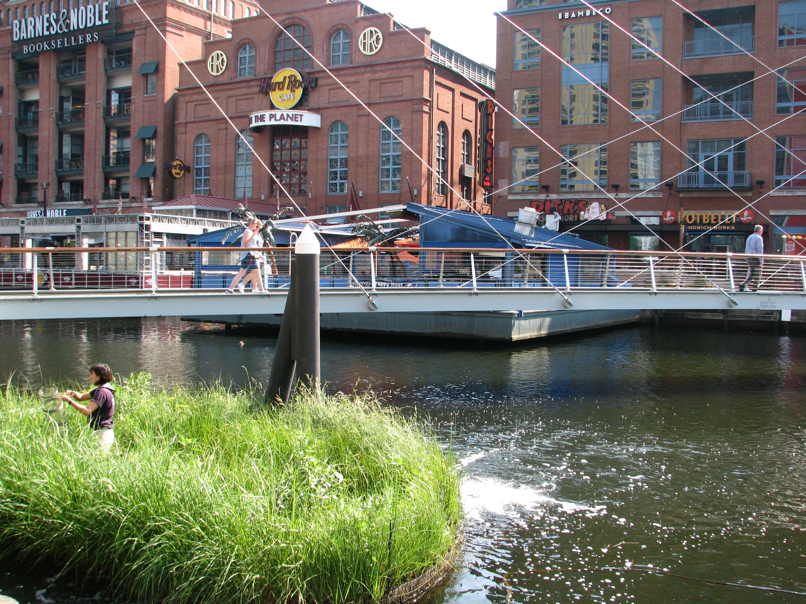 floating wetland located in downtown Baltimore