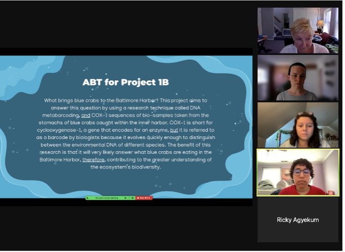 Zoom screenshot with images of Rose, Molly, Bianca, and Brianna with slide with title "ABT for Project 1B"