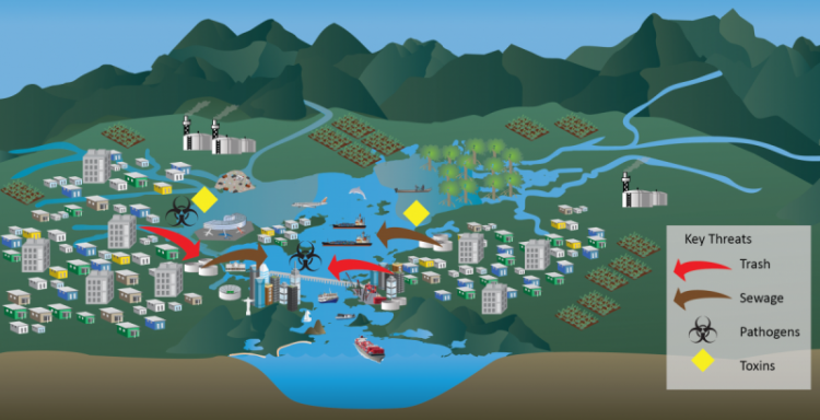 Guanabara Bay conceptual diagram