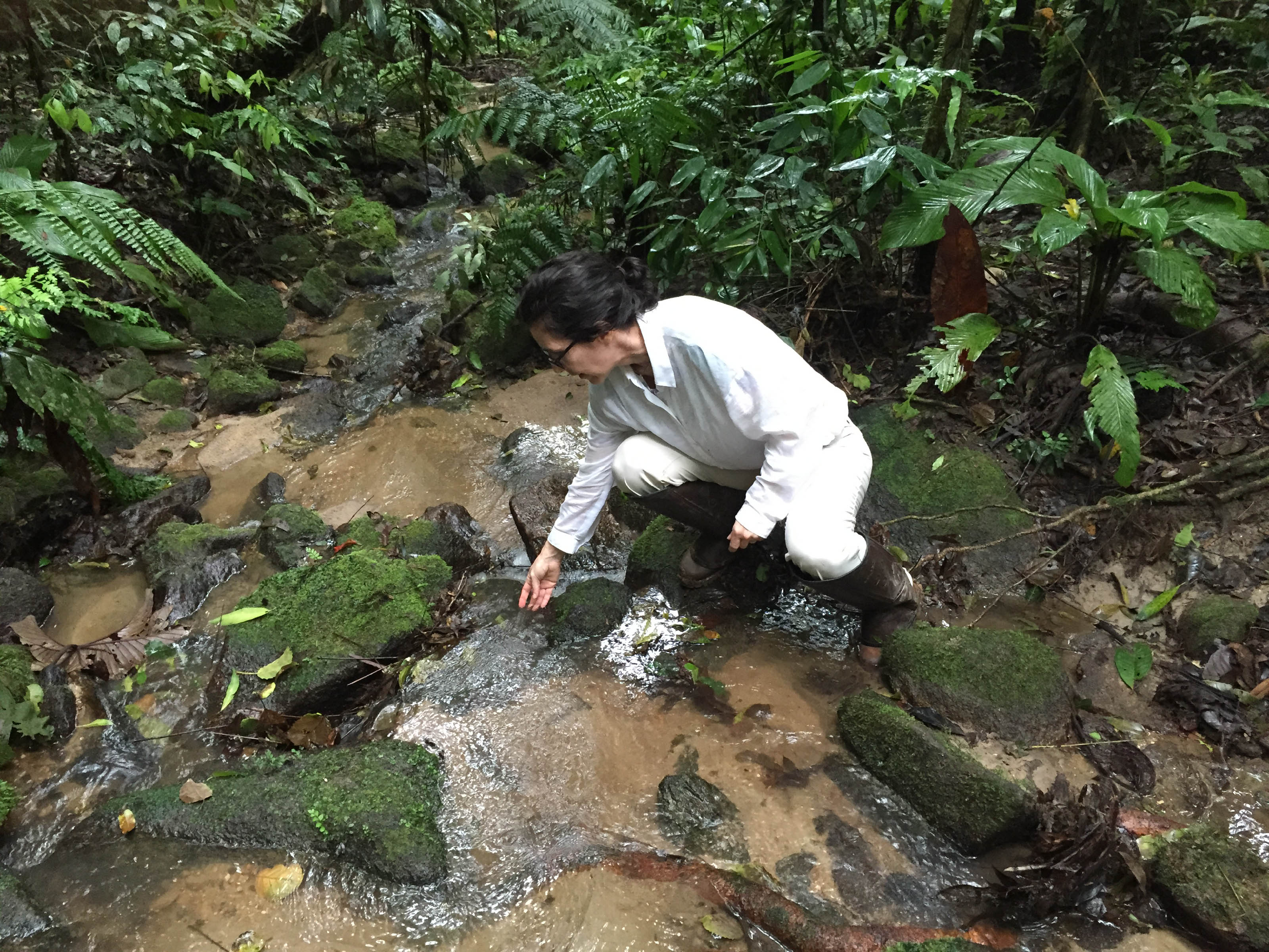 solange filoso in field in brazil