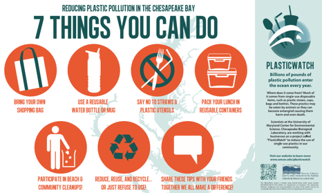 The Impact of Plastic in the Ocean & How You Can Help
