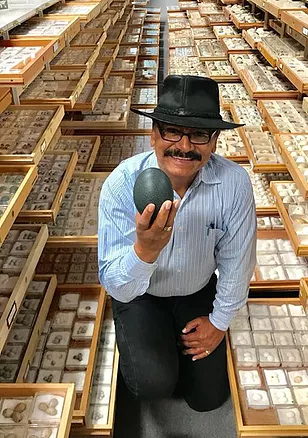 Rene Corado shows a bird egg among a huge collection of eggs