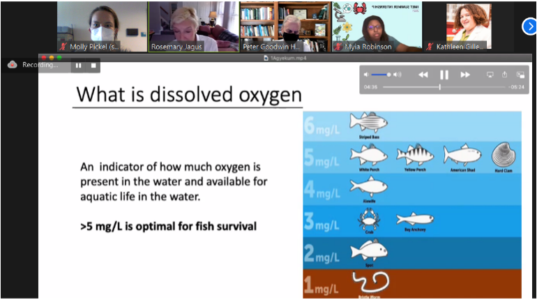 Zoom presentation with text: What is dissolved oxygen?