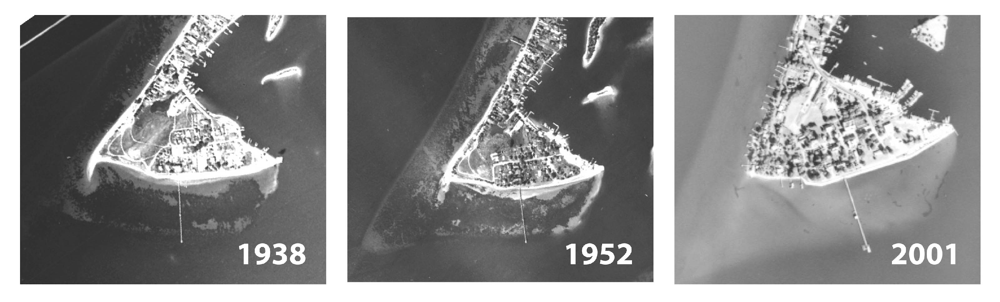 Time series photo collage showing disappearance of SAV off Solomons, Maryland.