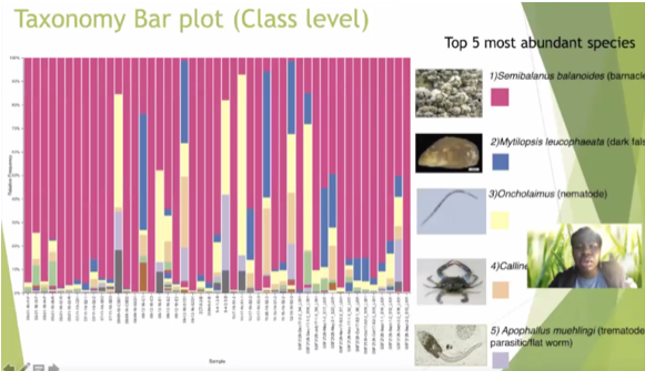 slide that says Taxonomy Bar Plot (Class Level)