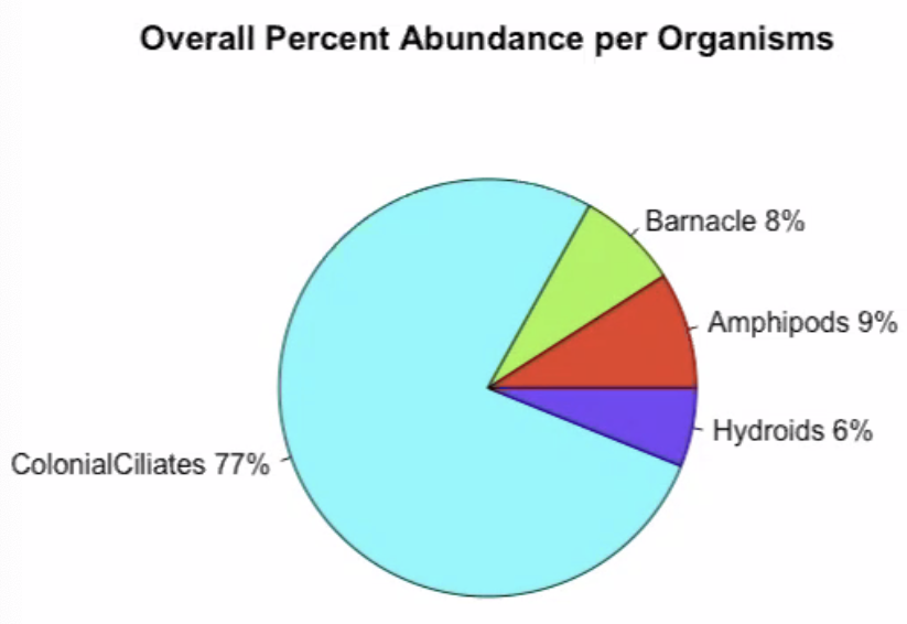 pie chart showing that colonial ciliates are the most abundant species, followed by barnacles, amphipods, and hydroids