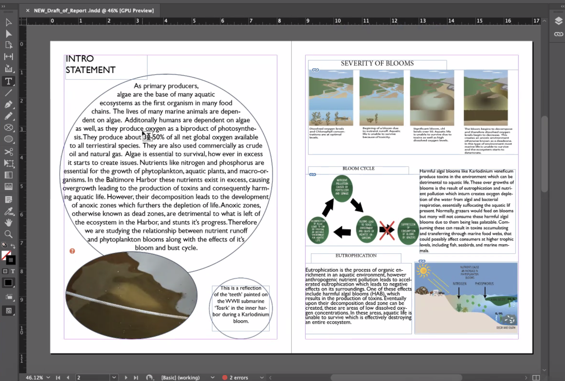 screenshot of draft report with titles: intro statement, severity of blooms, bloom cycle, eutrophication