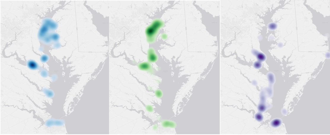 3 side by side maps of the Chesapeake Bay with colored spaces indicated confirmed dolphin sightings in the Bay in June, July and August.