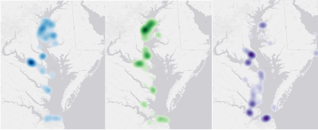 3 side by side maps of the Chesapeake Bay with colored spaces indicated confirmed dolphin sightings in the Bay in  June, July and August.