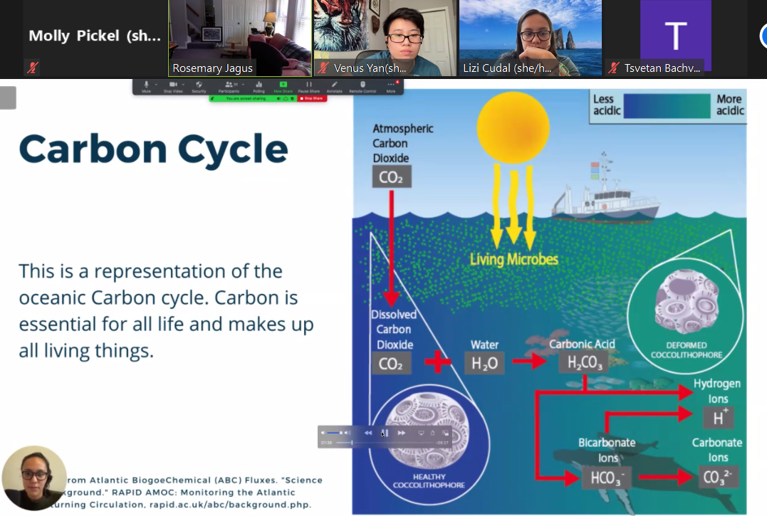 Zoom presentation with text: Carbon Cycle