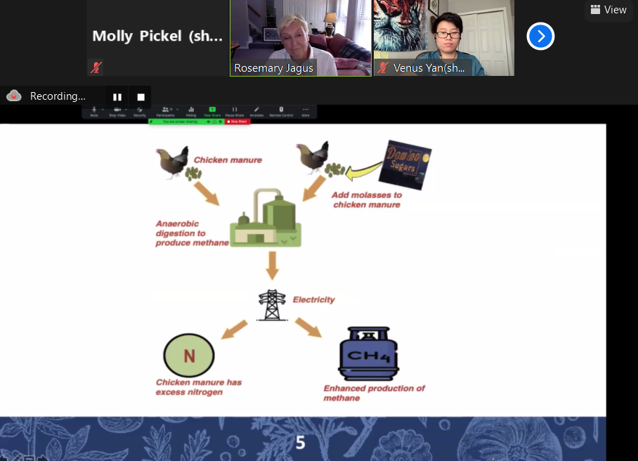 zoom presentation with diagram of adding molasses to chicken manure to produce methane