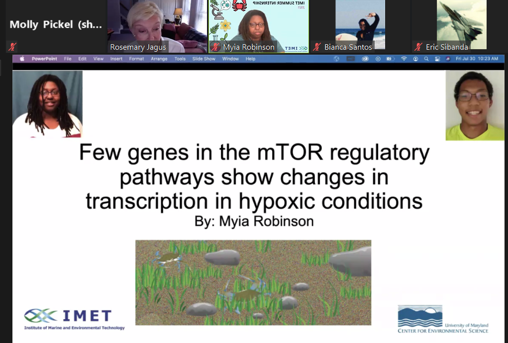 zoom presentation with text: Few genes in the mTOR regulatory pathways show changes in transcription in hypoxic conditions