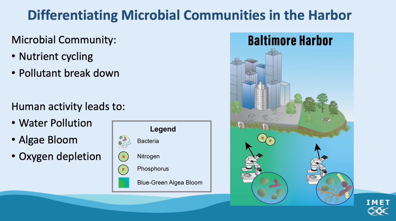 Zoom presentation with text: Differentiating Microbial Communities in the Harbor