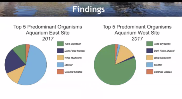slide with two pie charts showing most common organisms at two sample sites