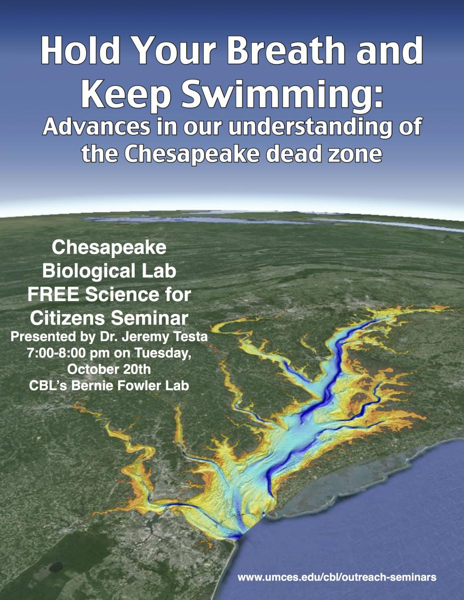 Poster promoting Hold Your Breath & Keep Swimming seminar