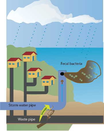 conceptual diagram showing combined sewage overflows with waste pipes leaking into storm water pipes