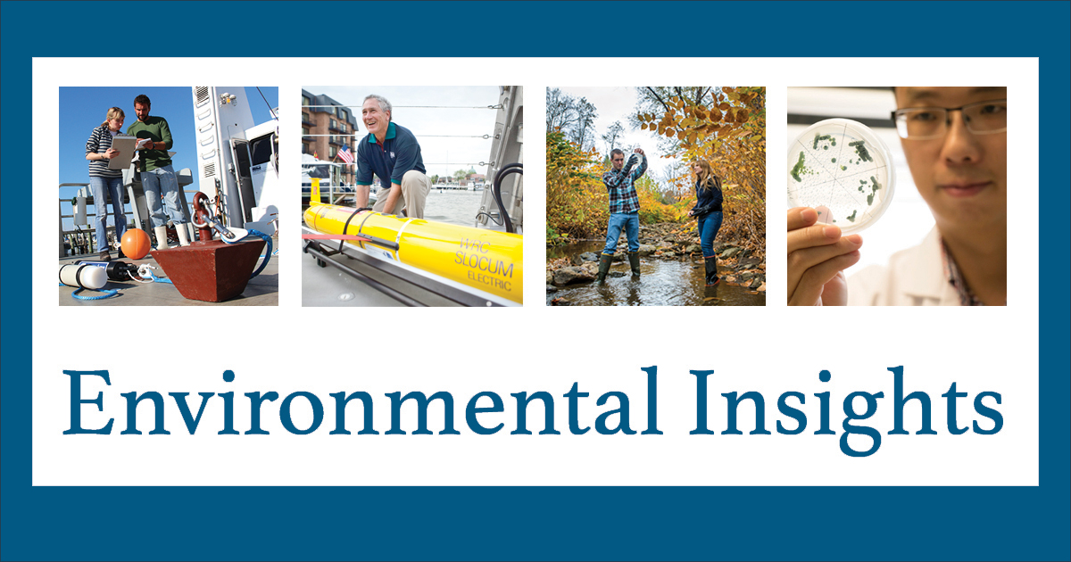 This is the banner for the Environmental Insights newsletter.