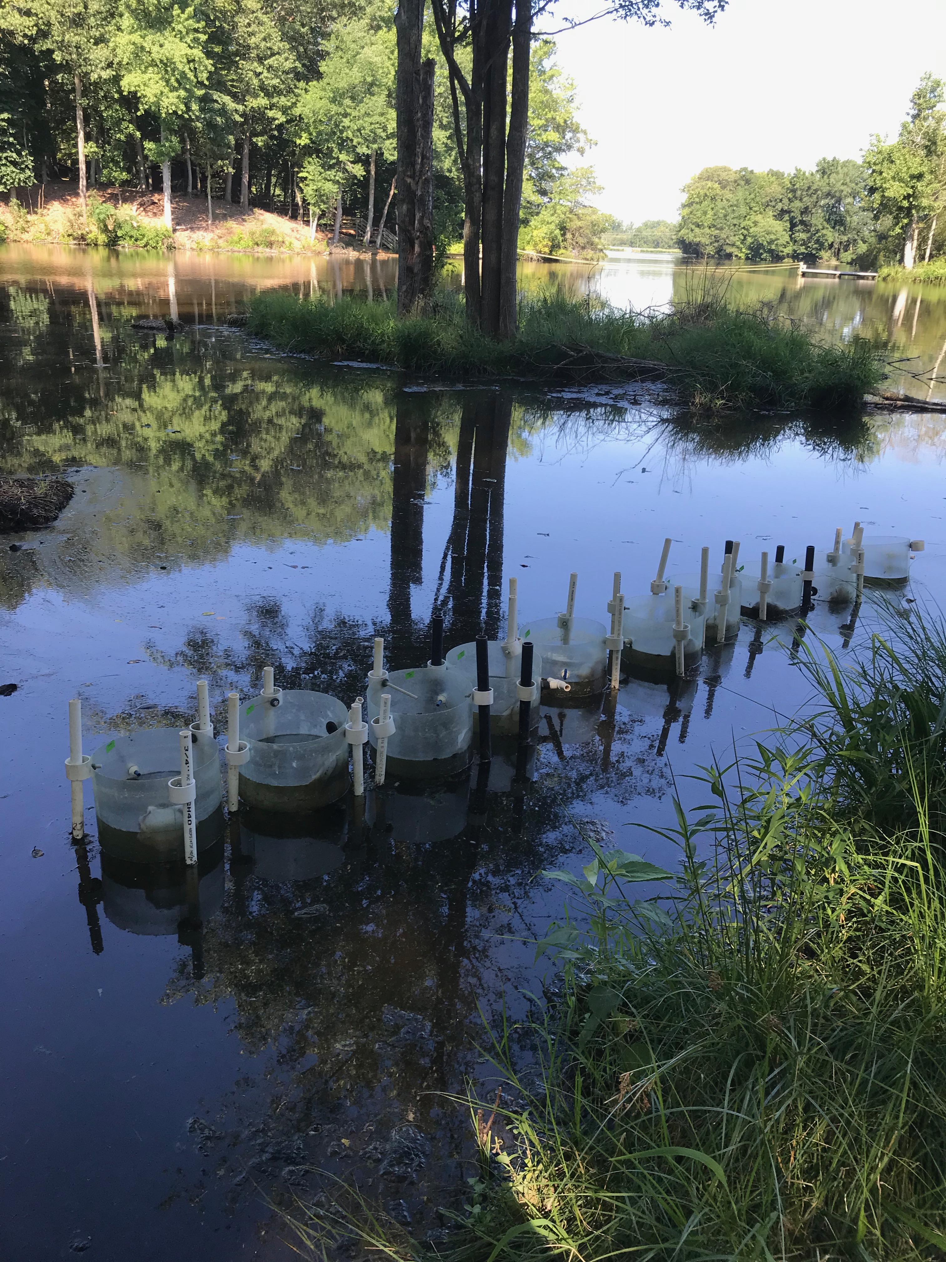 plastic barrels submerged in lakewater creating microcosms