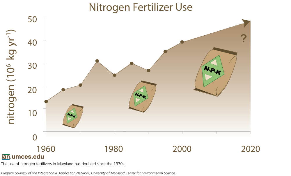 Increased Nitrogen Fertilizer Use in Maryland Since 1970 University