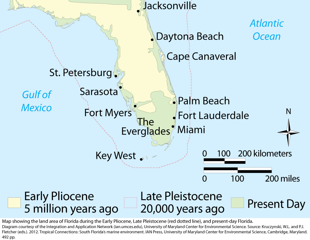 History of Florida land area University of Maryland Center for